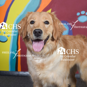 Fundraising Page: chelsea mayo